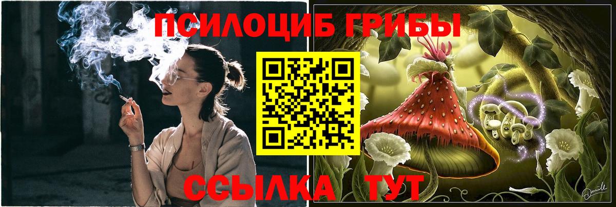 Псилоцибиновые грибы GOLDEN TEACHER Артём