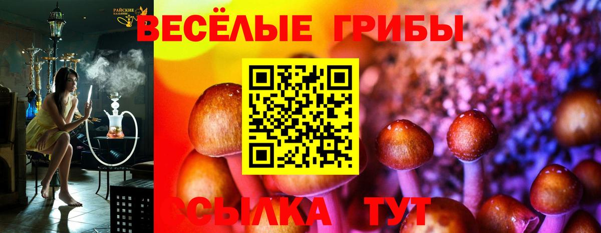 Галлюциногенные грибы GOLDEN TEACHER  Вход с VPN  Артём 